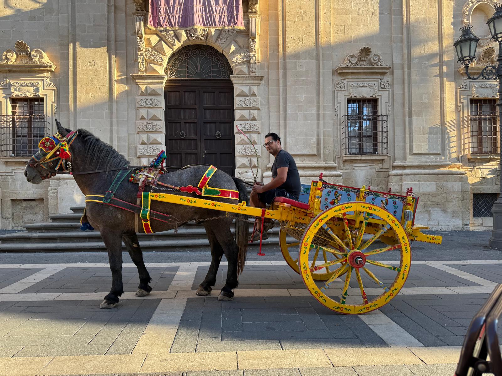 Foto Carretto Siciliano 4